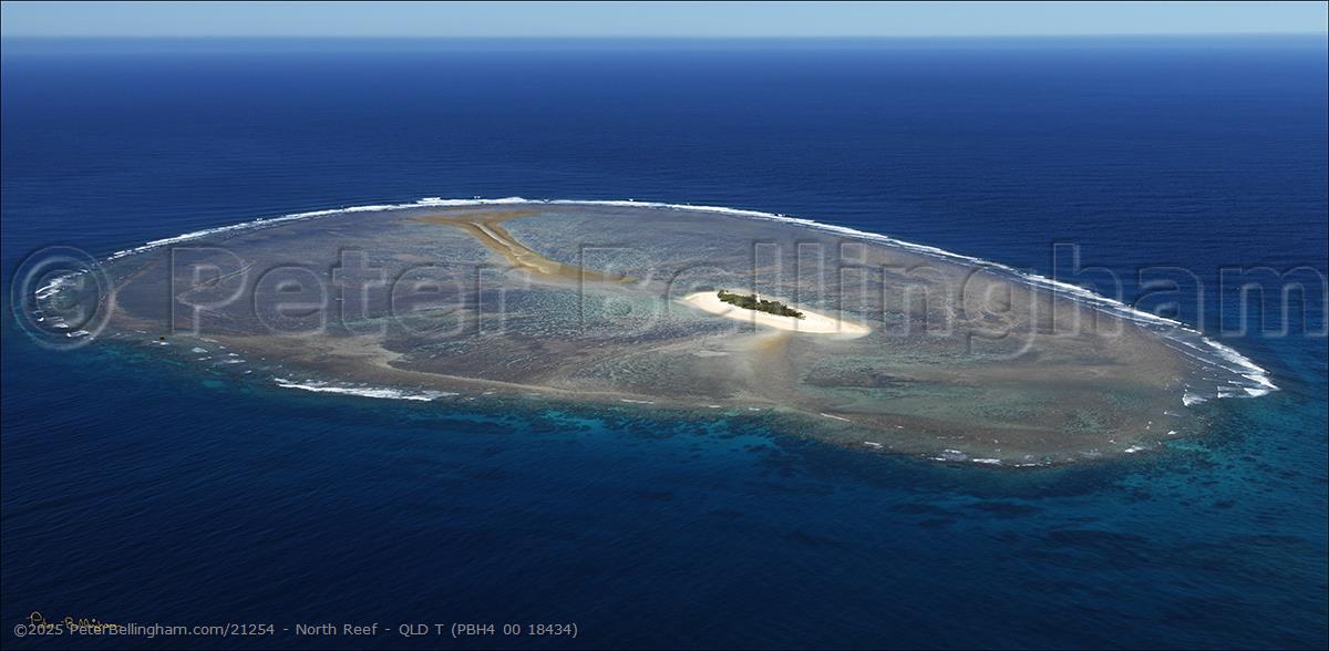 Peter Bellingham Photography North Reef - QLD T (PBH4 00 18434)